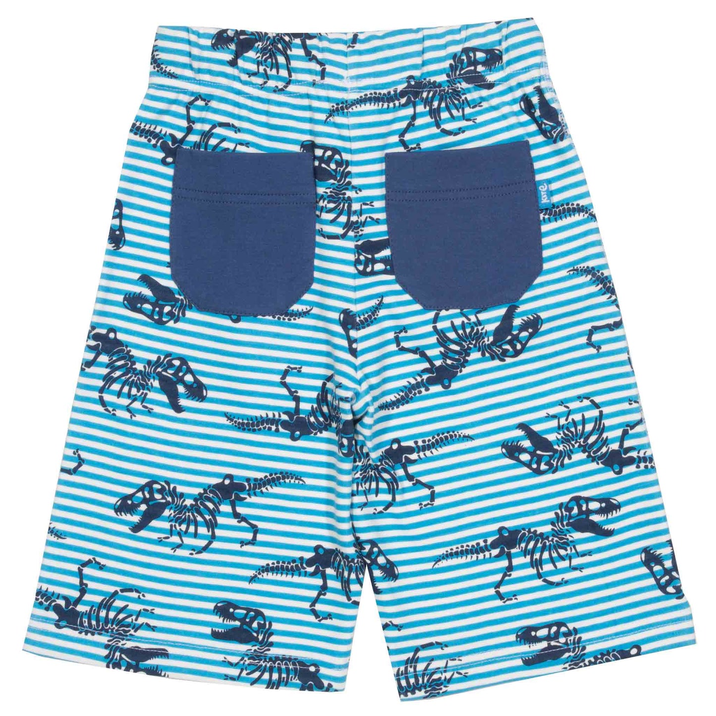 KITE T-Rex Short