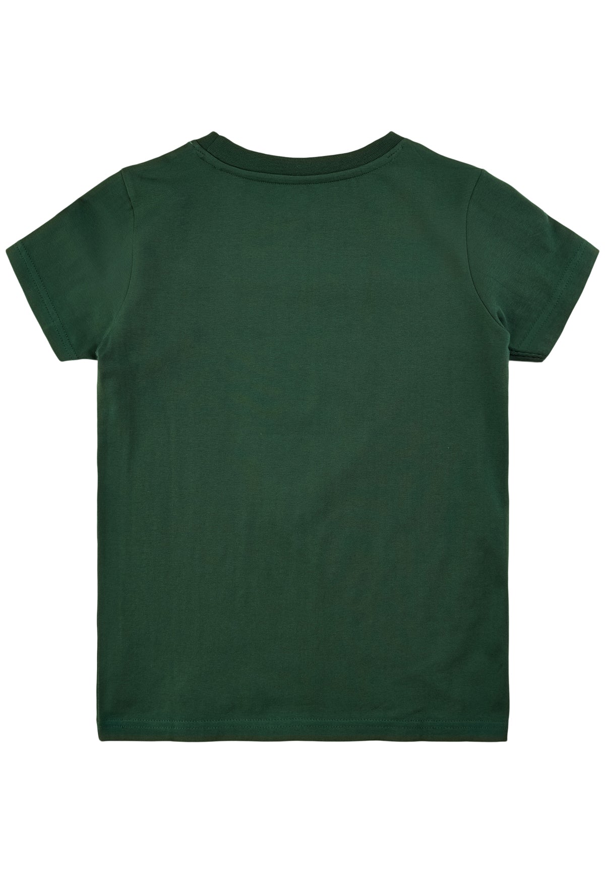 THE NEW Kurzarm Shirt TNDIEGO Tiger grün