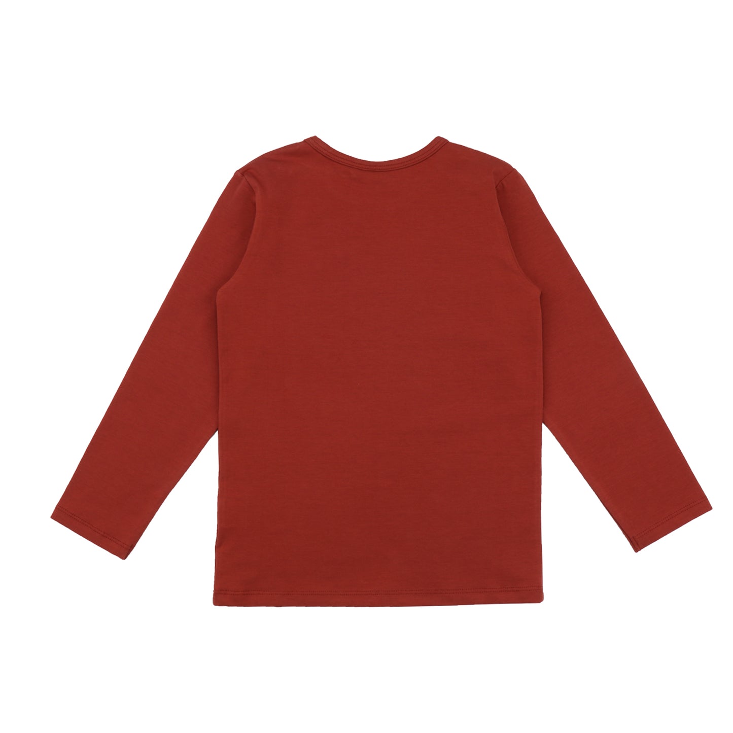 Walkiddy Langarm Shirt Castleland Frontprint Drache