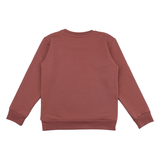 Walkiddy Sweatshirt Joyful Horses Frontprint