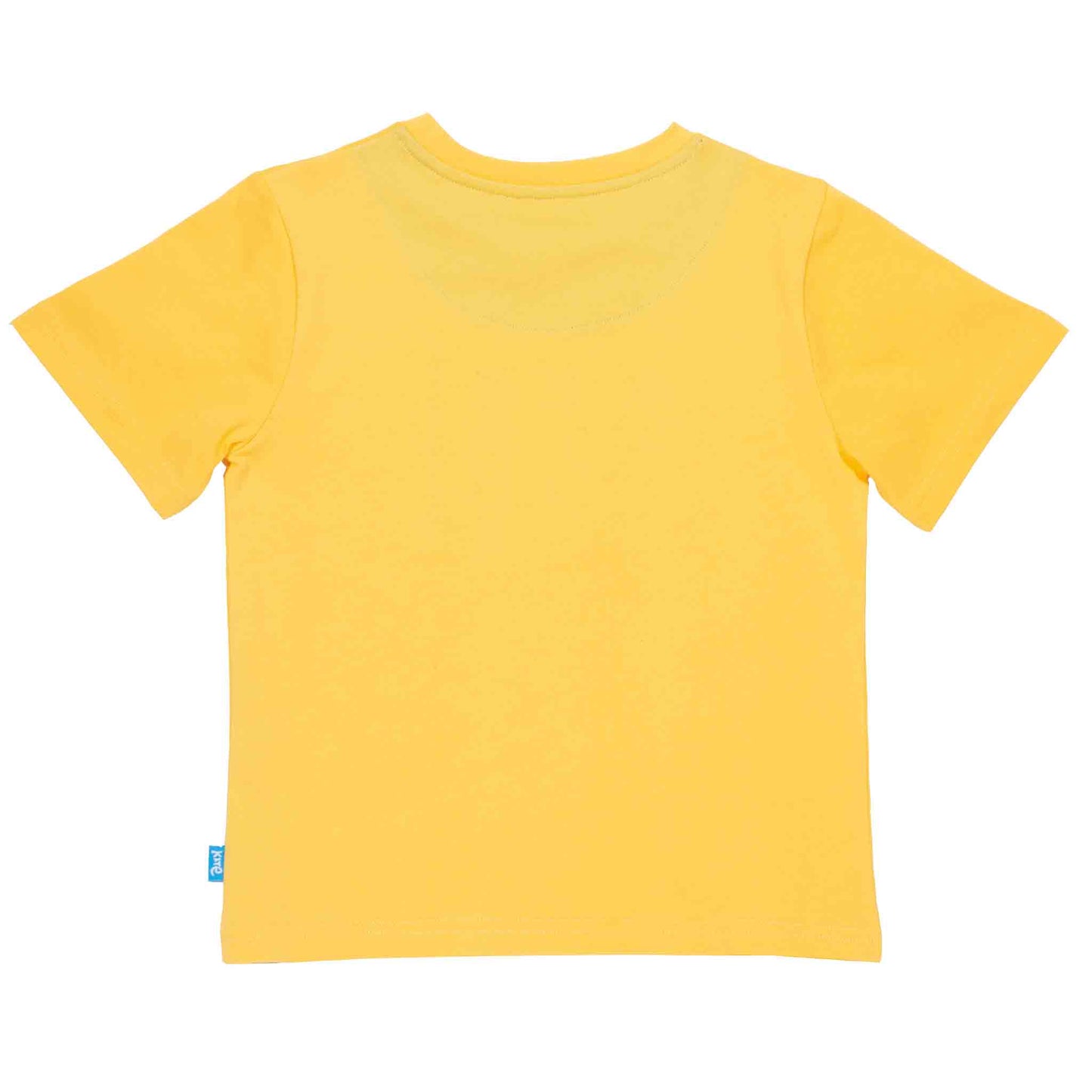 KITE Kurzarm Shirt Paddle board