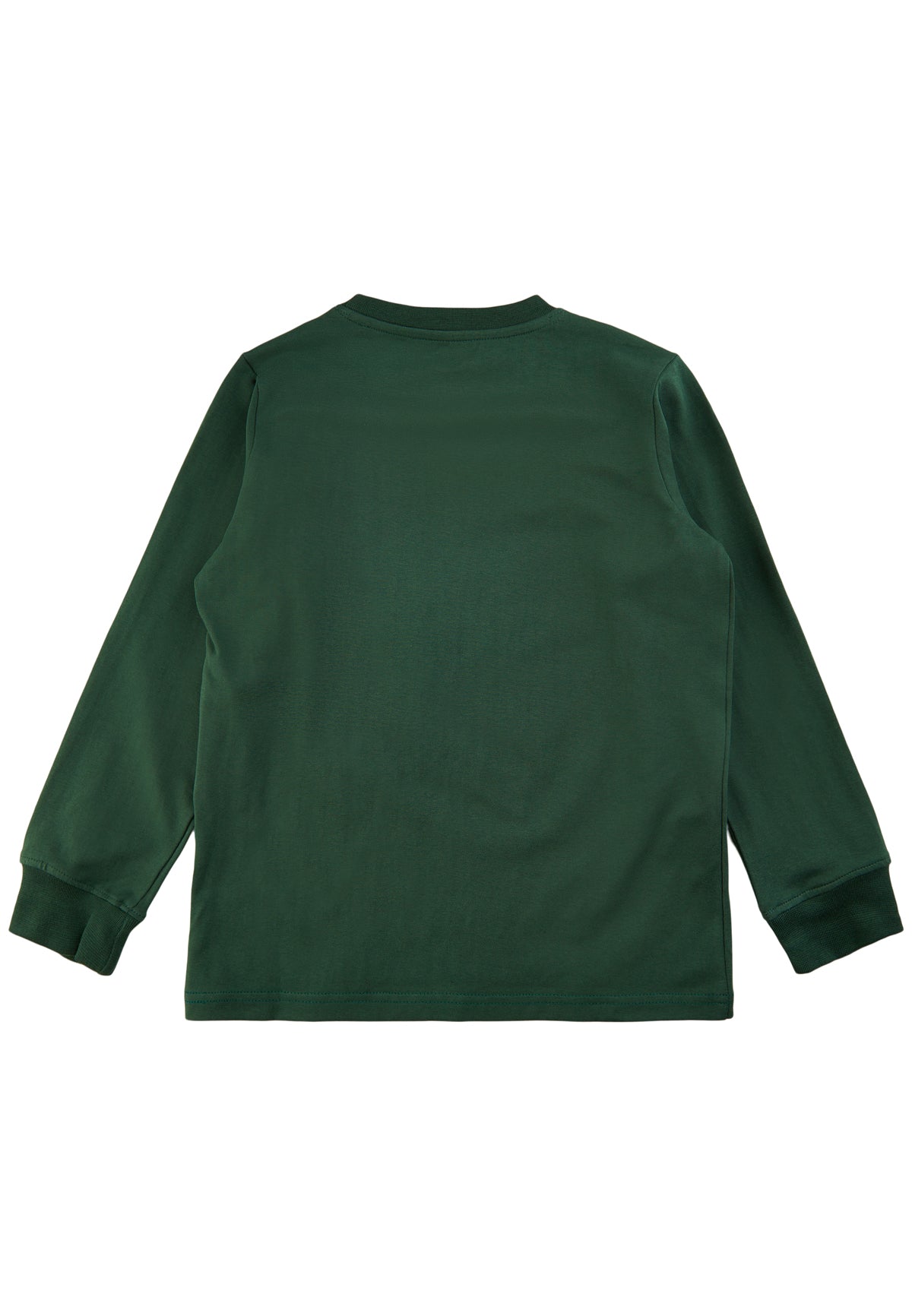 THE NEW Langarm Shirt TNDANDY grün