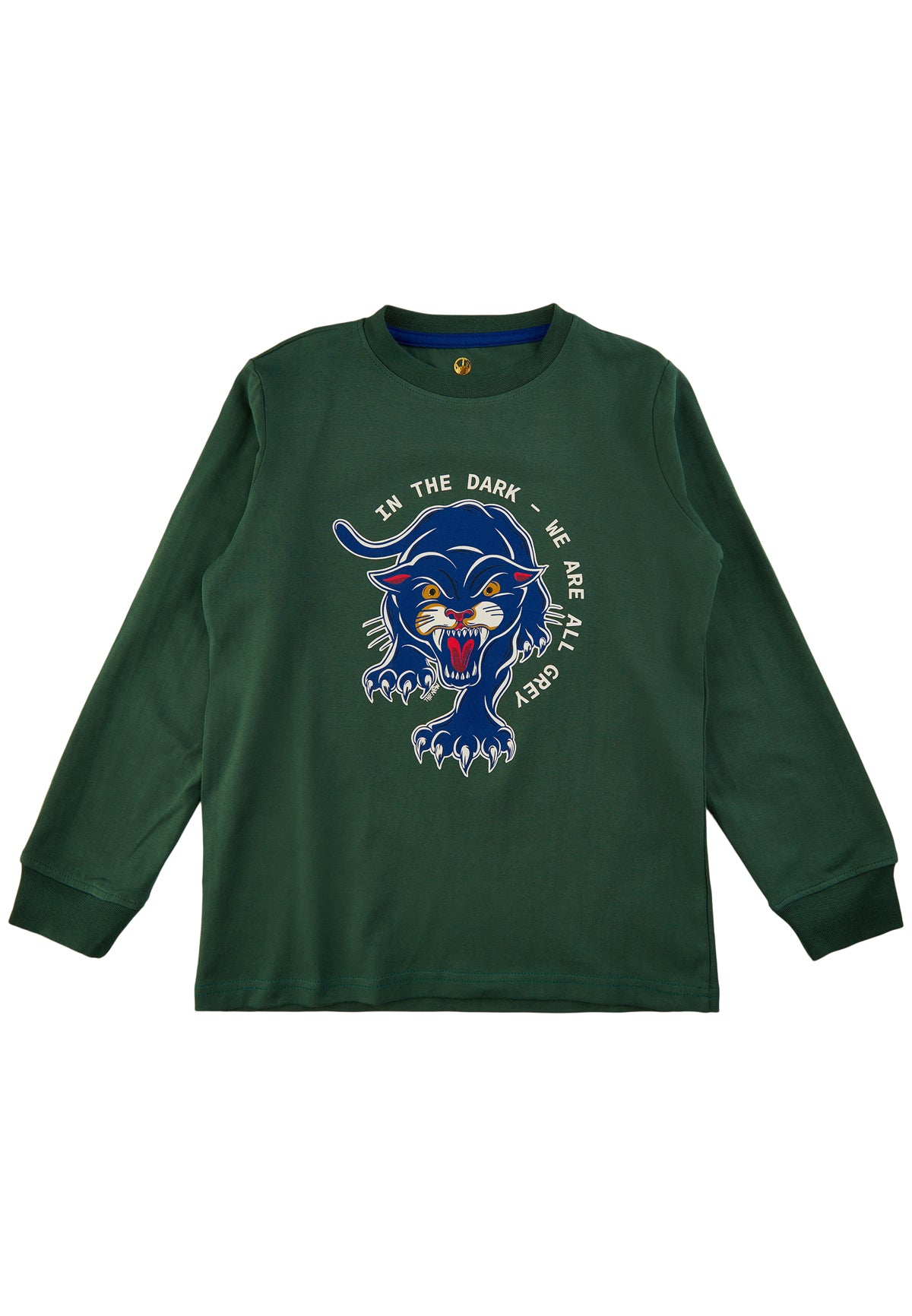 THE NEW Langarm Shirt TNDANDY grün