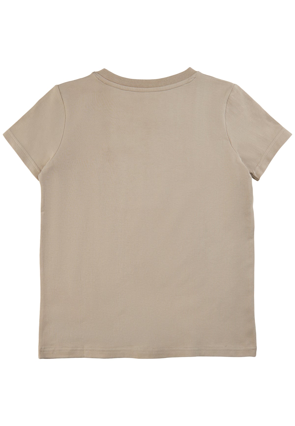 THE NEW Kurzarm Shirt TNDOZE Chateau Gray