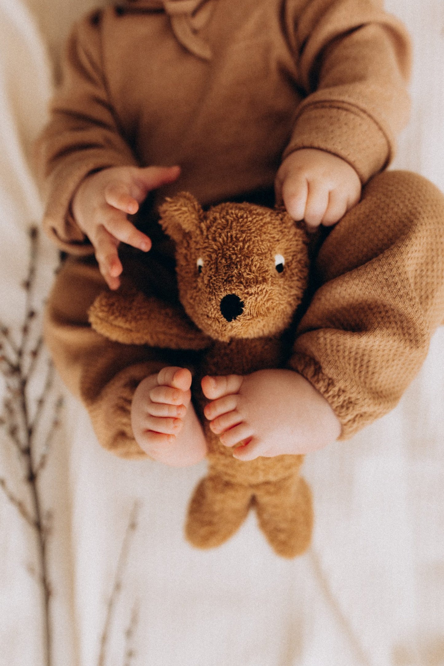 Wooly Organic ALMA Teddy Bär 20cm
