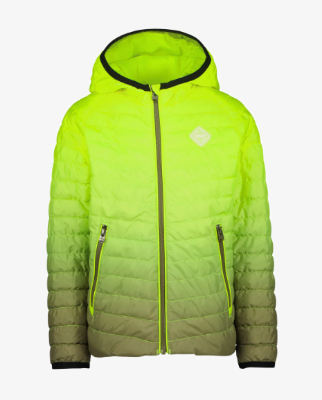 Vingino Übergangsjacke TADING Laurel Green