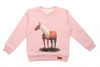 Walkiddy Sweatshirt Beauty Horse Frontprint Pferd Walkiddy Sweatshirt Beauty Horse Frontprint Pferd