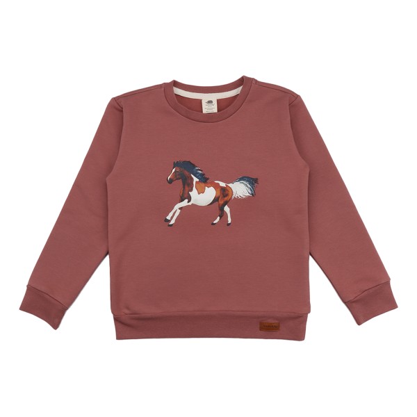 Walkiddy Sweatshirt Joyful Horses Frontprint